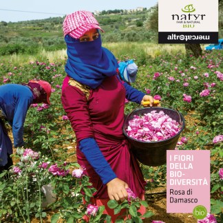 IG_FB_primaveraCOSMETICA_rosa