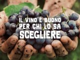 La vendemmia etica dei vini&nbsp;Valdibella