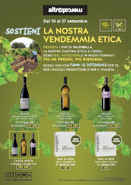 vendemmia